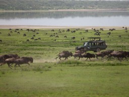 &Beyond Privat Safari - Vielfältige Begegnungen mit den unterschiedlichsten Tieren